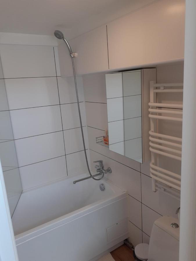 Lovely 1-Bedroom Apartment In Kaunas Old Town Exteriör bild